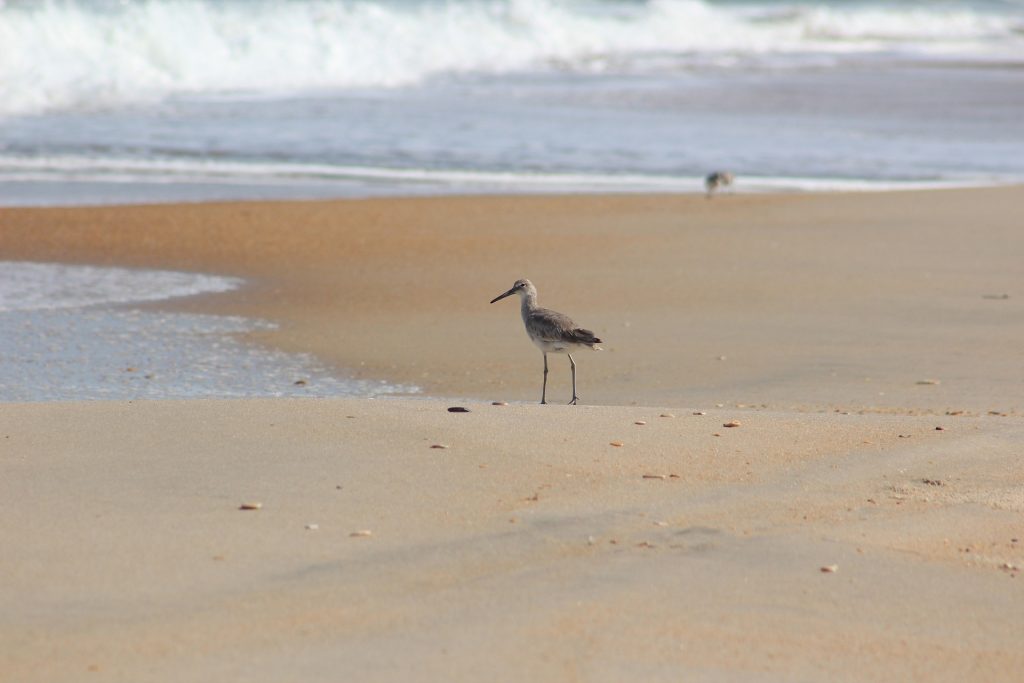 etats-unis-itineraire-Cape Hatteras