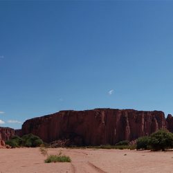 argentine-incontournables-talampaya-parc