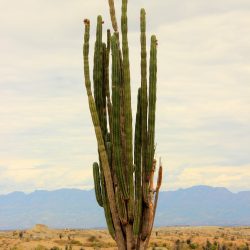 colombie-incontournables-desertdetatacoa