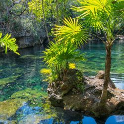 mexique-incontournables-cenotes