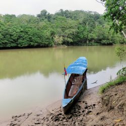 perou-incontournables-amazonie