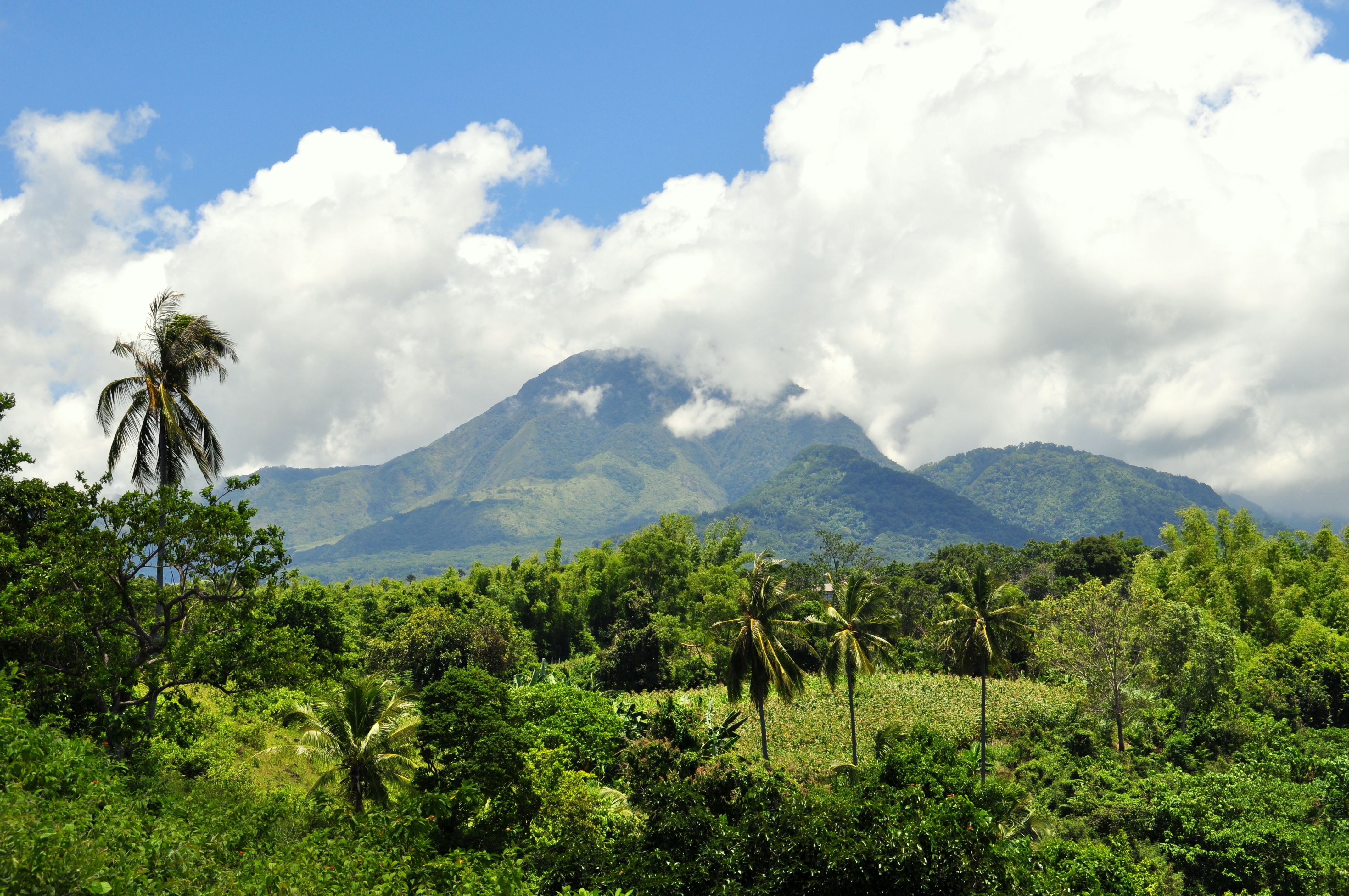 philippines-itineraire-Dauin