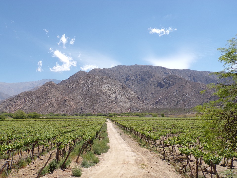 argentine-itineraire-Cafayate