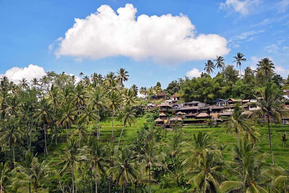 bali-itineraire-Ubud