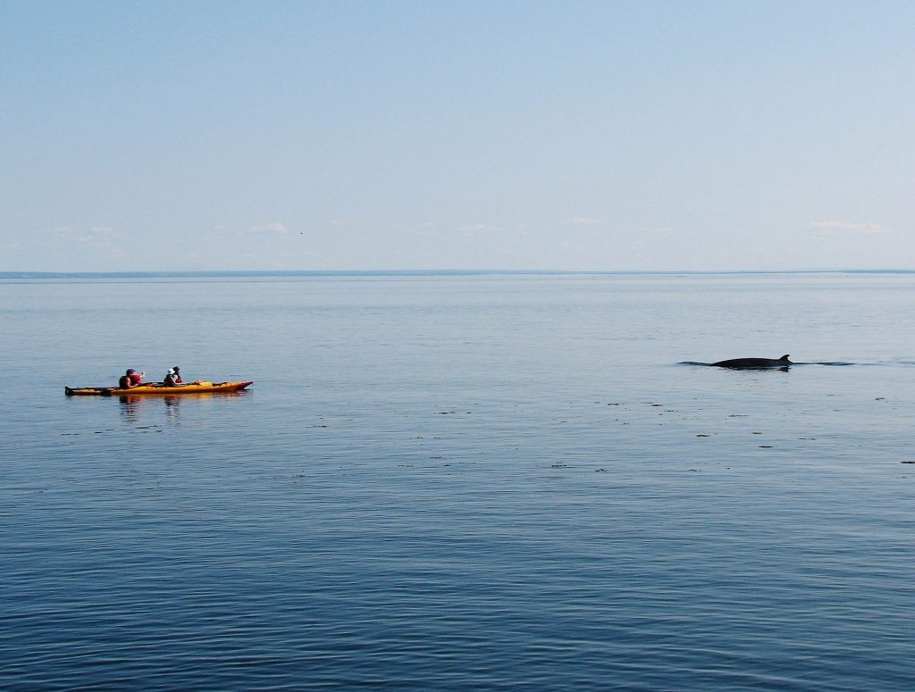 canada-itineraire-Tadoussac