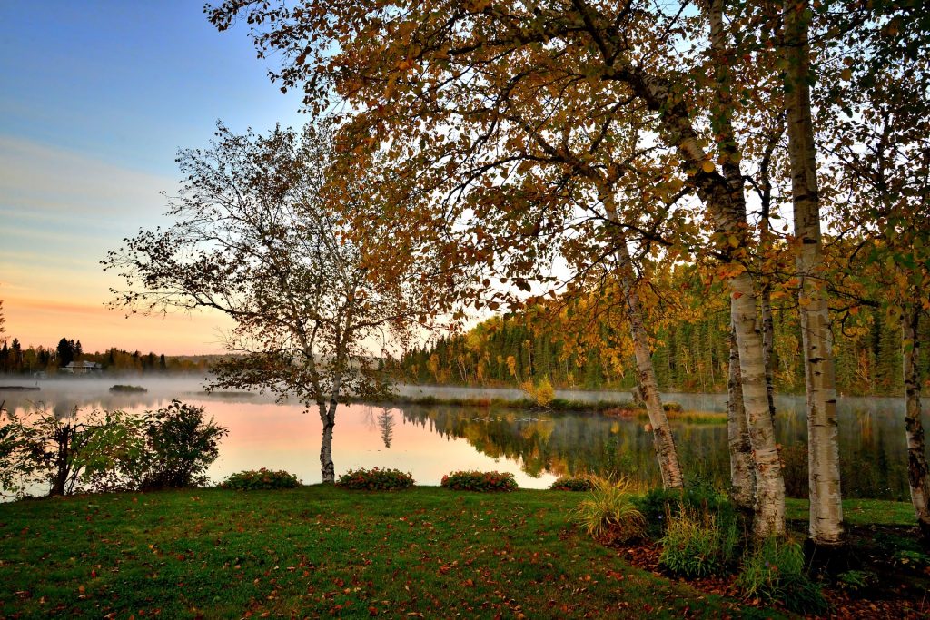 canada-itineraire-Saint-Alexis-des-Monts