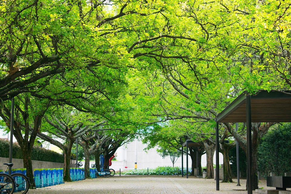 colombie-itineraire-Medellin