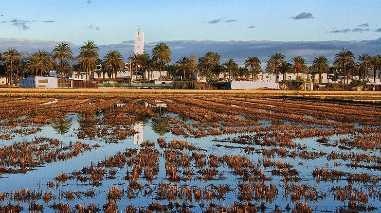 espagne-itineraire-Poble Nou del Delta