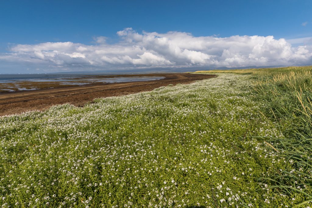 islande-itineraire-Eyrarbakki