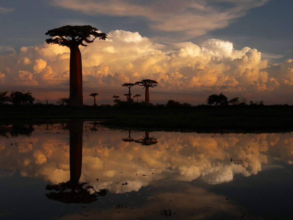 madagascar-itineraire-Morondava