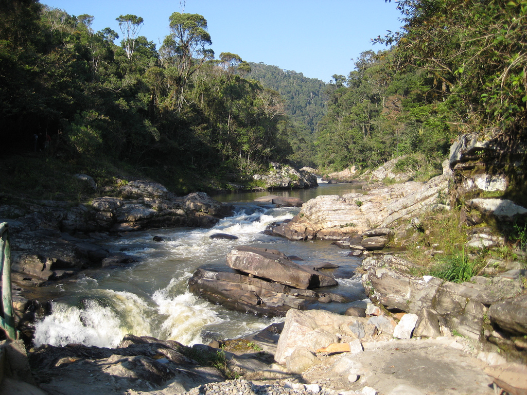 madagascar-itineraire-Ranomafana