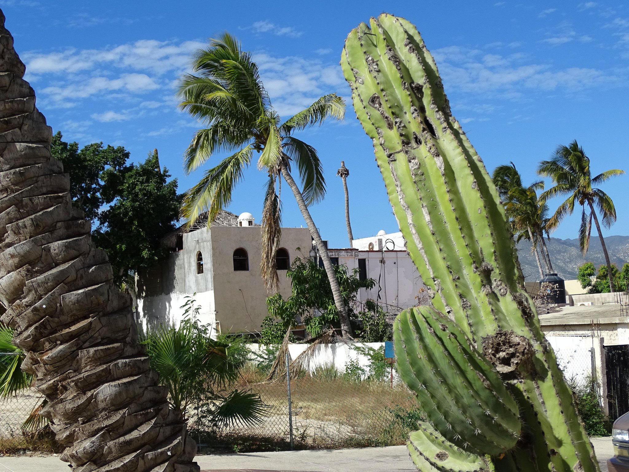 mexique-itineraire-voyage-6-San-Jose-del-Cabo