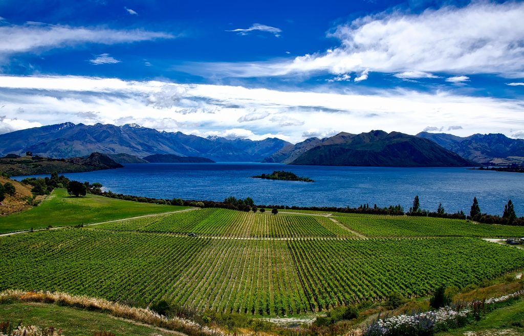 nouvelle-zelande-itineraire-Wanaka