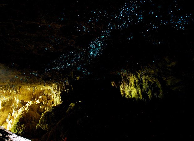 nouvelle-zelande-itineraire-Waitomo Caves