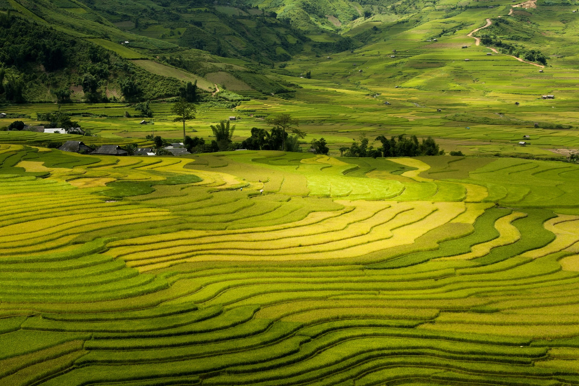 vietnam-itineraire-voyage-sapa