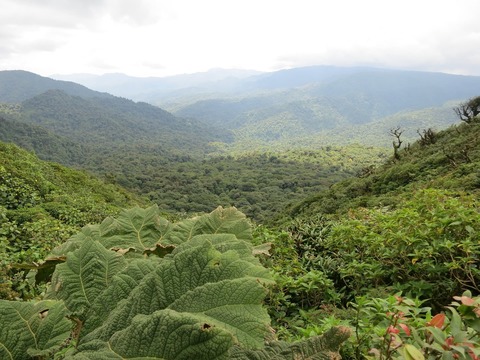 costa-rica-itineraire-voyage-monteverde