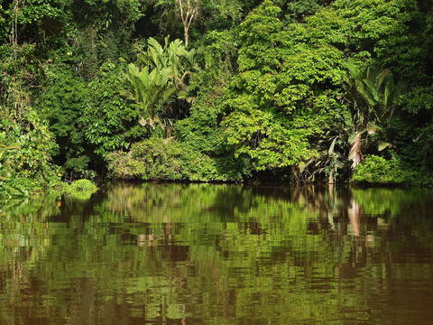 costa-rica-itineraire-voyage-tortuguero