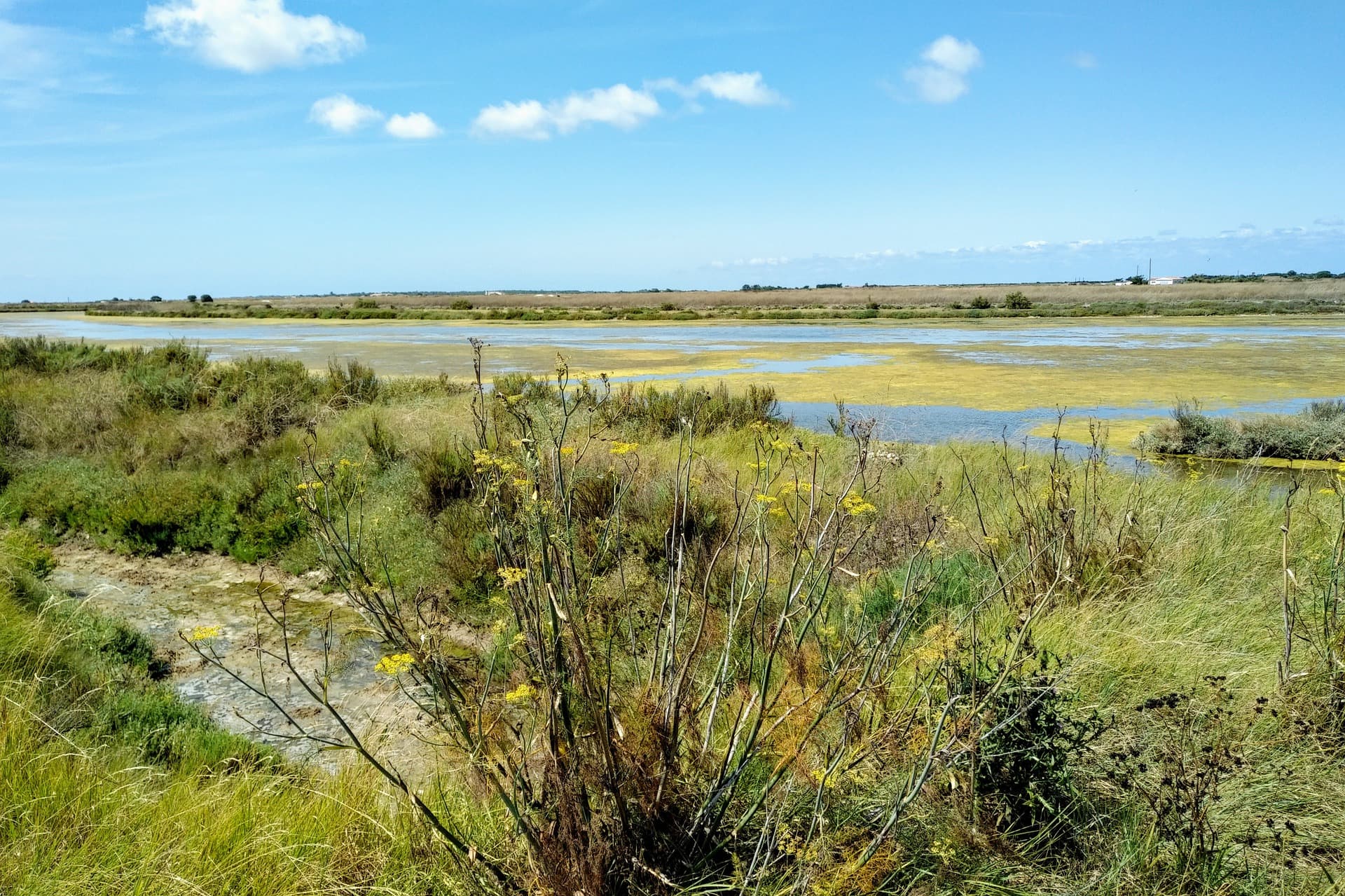 france-itineraire-ile-de-re-voyage