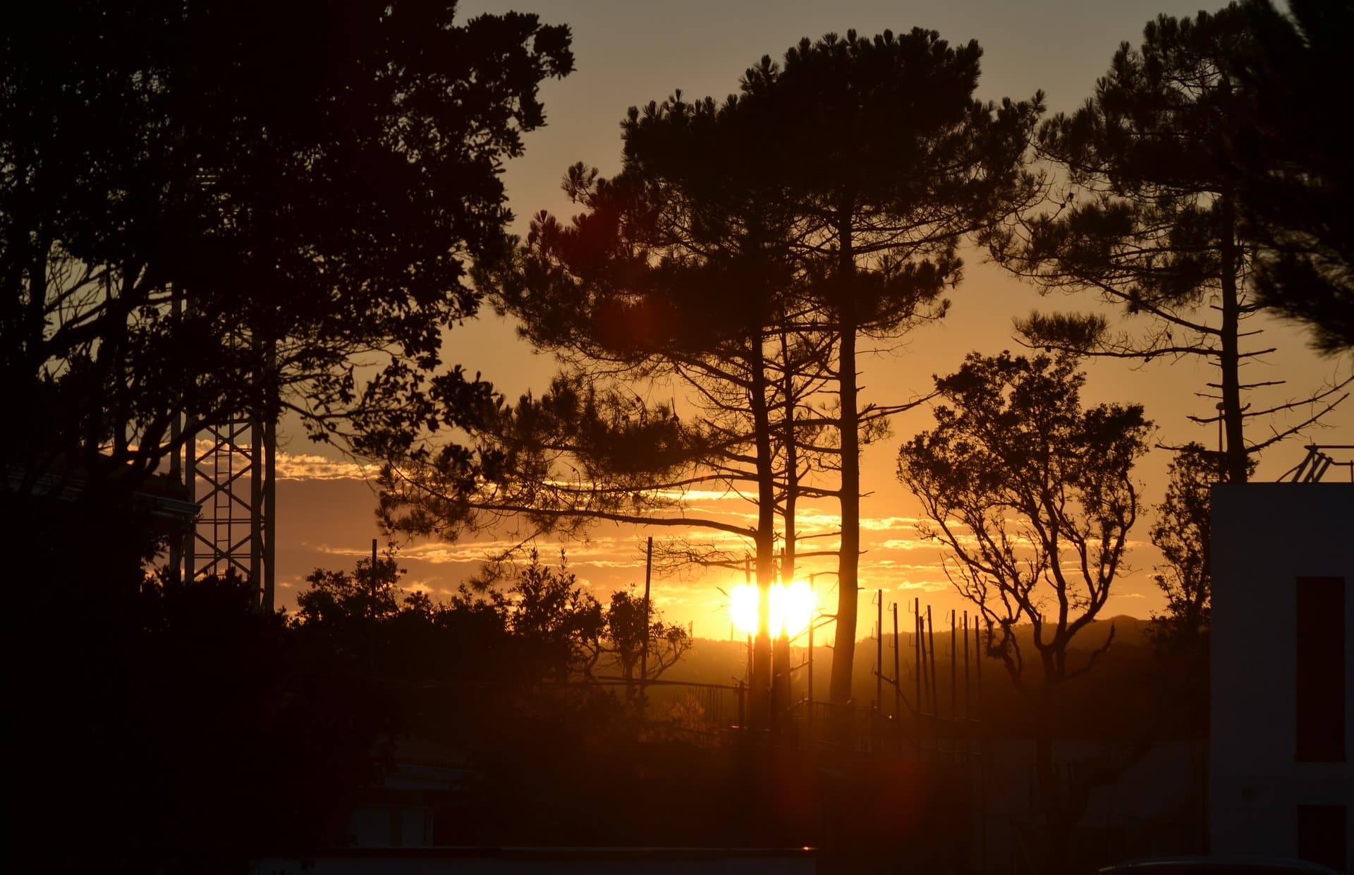 france-itineraire-foret-des-landes