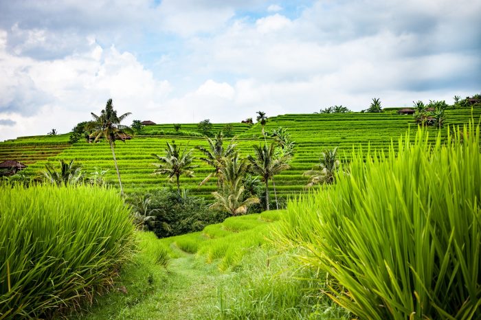 prix-best-itinerary-bali