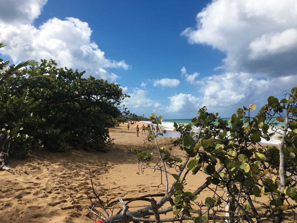 top-plage-guadeloupe-plage-la-perle