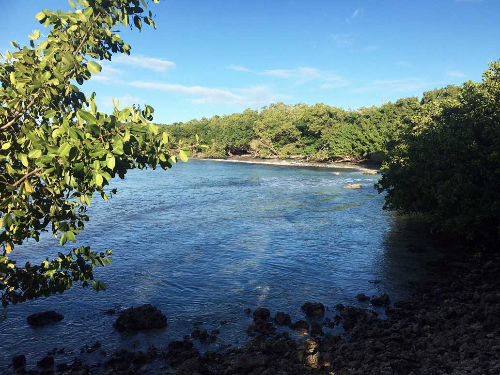 plus-belle-plage-guadeloupe-plage-saint-felix