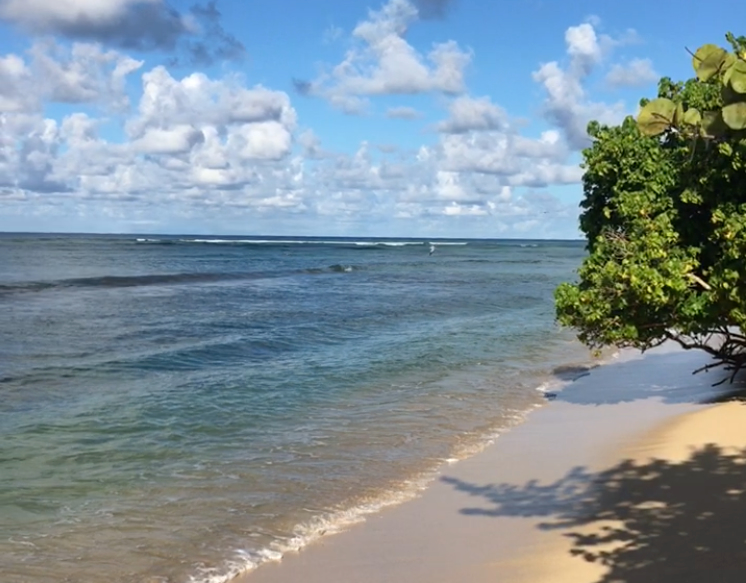 top-plage-guadeloupe-plage-du-souffleur