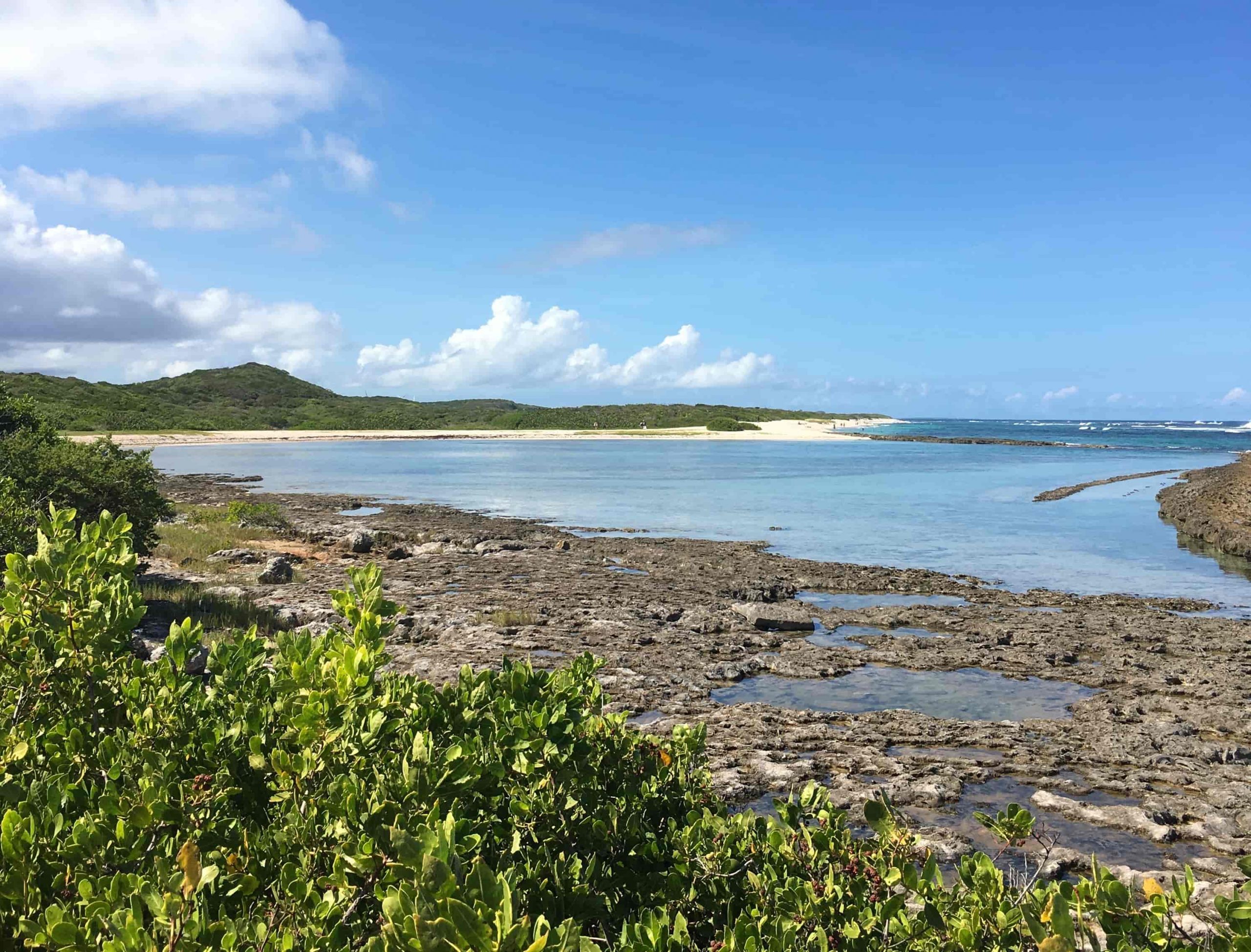 top-plage-guadelouoe-plage-grande-anse-des-salines