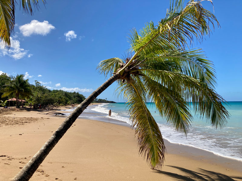 TOP 7 des meilleures plages en Guadeloupe