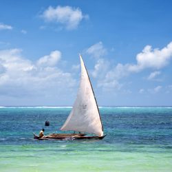 voyage-itineraire-zanzibar-AtolldeMnemba