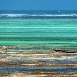 voyage-zanzibar-Kizimkazi